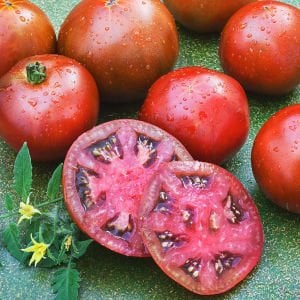 Kara prens domates tohumu geleneksel black prince tomato seeds