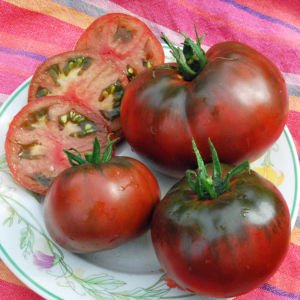 Kara prens domates tohumu geleneksel black prince tomato seeds