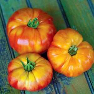 Gökkuşağı domates tohumu geleneksel heirloom big rainbow tomato seeds