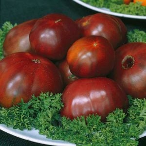 Siyah domates brandywine tohumu geleneksel heirloom brandywine black tomato seeds