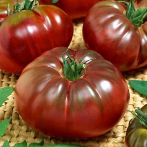 Siyah domates brandywine tohumu geleneksel heirloom brandywine black tomato seeds