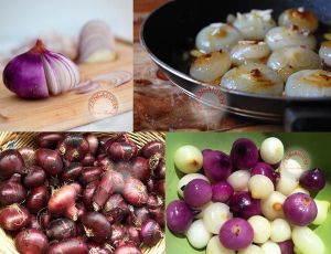 Kırmızı cipollini soğan tohumu geleneksel taze ve kuru onion red cipollini