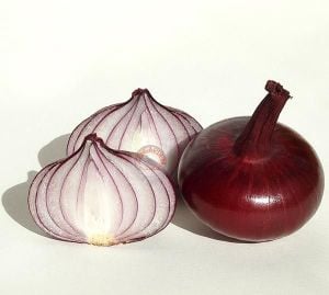 Kırmızı cipollini soğan tohumu geleneksel taze ve kuru onion red cipollini