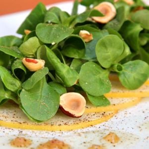 Kuzu marulu tohumu Mache Corn salad valerianella locusta