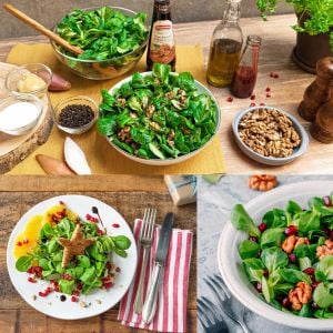 Kuzu marulu tohumu Mache Corn salad valerianella locusta