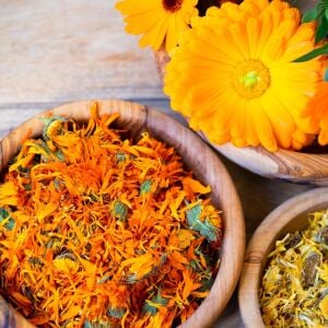 Şifalı ayni safa çiçeği tohumu calendula officinalis
