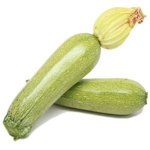Çalı tipi kabak tohumu Atalık grey zucchini