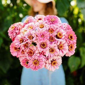 4. Sayfa - Çiçek tohumları | Zengarden - Türkiye'nin tercih ettiği