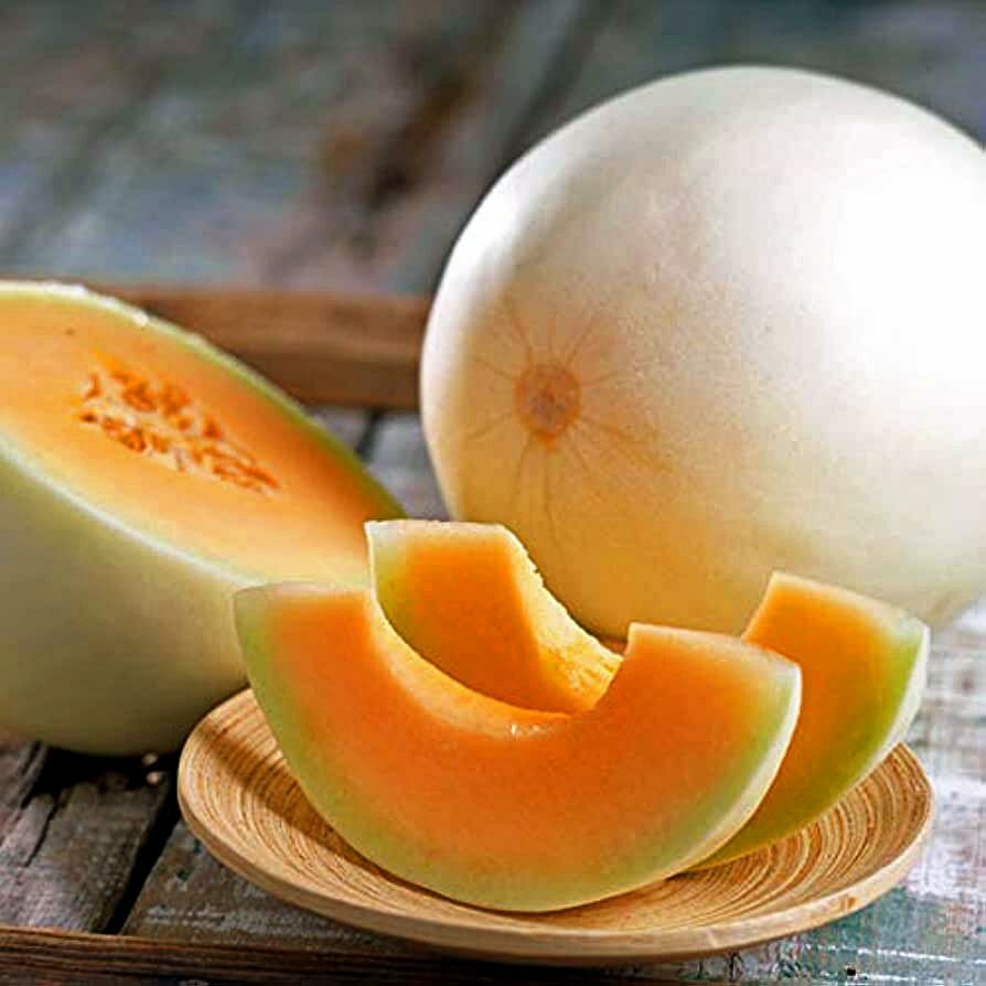 Top kavun tohumu amerikan honeydew orange flesh