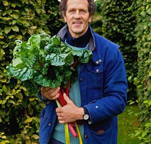 Kırmızı saplı pazı tohumu red chard beta vulgaris