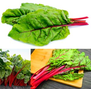Kırmızı saplı pazı tohumu red chard beta vulgaris