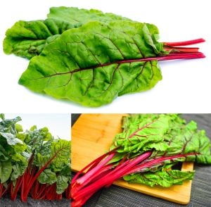 Kırmızı saplı pazı tohumu red chard beta vulgaris