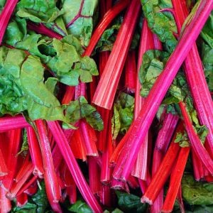 Kırmızı saplı pazı tohumu red chard beta vulgaris