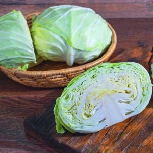 Flat Dutch erkenci yassı dolmalık lahana tohumu