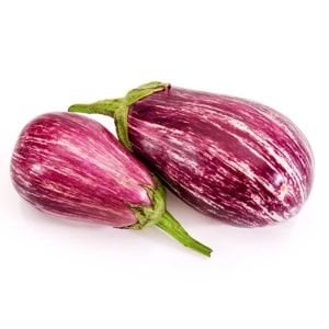 Gül patlıcan tohumu çizgili atalık pandora striped rose