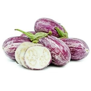 Gül patlıcan tohumu çizgili atalık pandora striped rose
