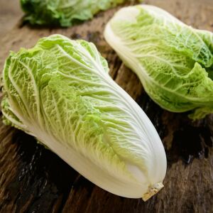 Michihili Atalık lahana tohumu dikine baş yapan