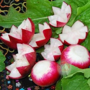 Kırmızı beyaz turp tohumu geleneksel radish sparkler