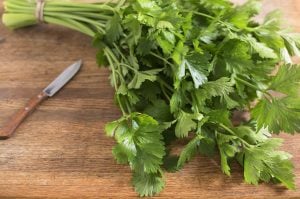 Çorba ve çeşni yaprak kereviz tohumu leaf celery