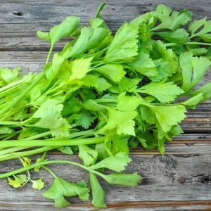 Çorba ve çeşni yaprak kereviz tohumu leaf celery