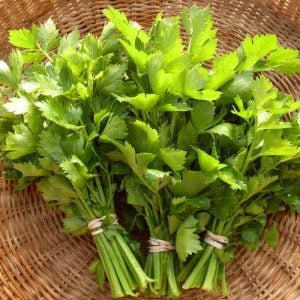 Çorba ve çeşni yaprak kereviz tohumu leaf celery