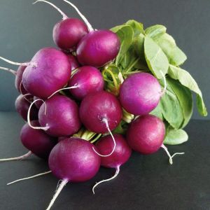Mor turp tohumu geleneksel radish purple plum