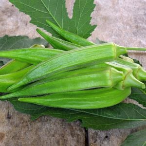 Zümrüt Okra Dikensiz bamya tohumu