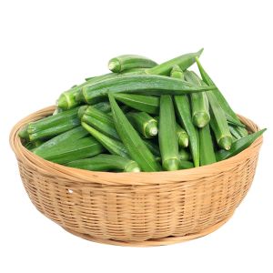 Zümrüt Okra Dikensiz bamya tohumu