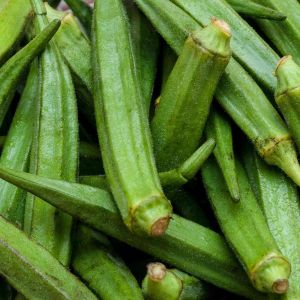 Zümrüt Okra Dikensiz bamya tohumu
