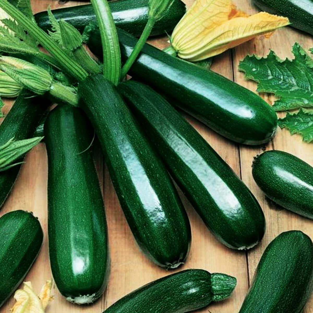 Yaz kabağı tohumu geleneksel black beauty summer squash