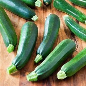 Yaz kabağı tohumu geleneksel black beauty summer squash