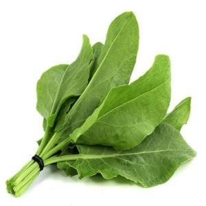 Geniş yapraklı kuzukulağı tohumu ekşi otu labada rumex acetosa