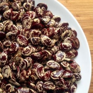 Çilli Lima fasulyesi tohumu Christmas Lima bean seeds