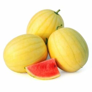 Minyatür altın karpuz tohumu geleneksel golden midget watermelon