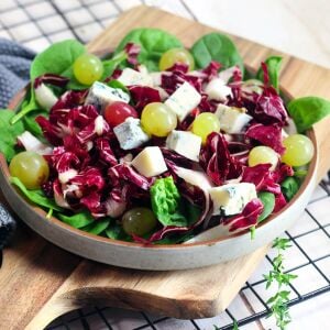 Kırmızı hindiba tohumu endive palla rossa