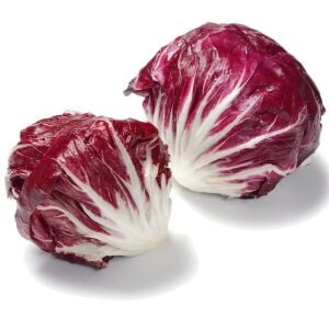 Kırmızı hindiba tohumu endive palla rossa