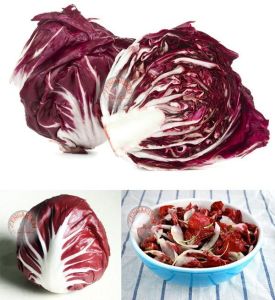 Kırmızı hindiba tohumu endive palla rossa