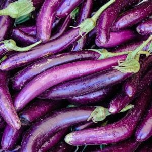 Pembe patlıcan tohumu atalık eggplant ping tung