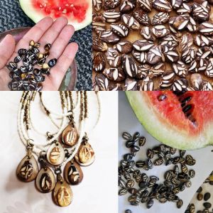 Çekirdeği Oyalı Atalık karpuz tohumu yerli tohum