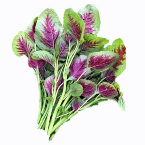 3 renk Passion amaranth tohumu salata
