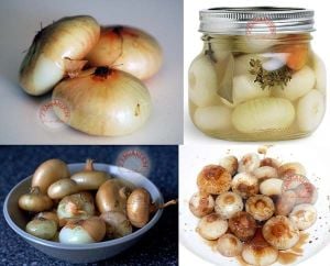 Beyaz cipollini soğan tohumu geleneksel onion bianca di maggio seeds