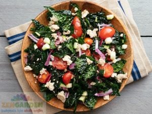 Kıvırcık kara lahana tohumu cavolo nero di Toscana brassica