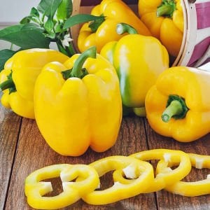 Sarı dolmalık biber tohumu geleneksel sweet sunbright pepper