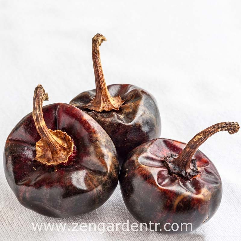 Cascabel orta acı biber tohumu chili pepper