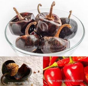 Cascabel orta acı biber tohumu chili pepper