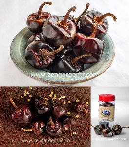 Cascabel orta acı biber tohumu chili pepper