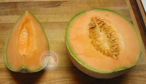 Dev kavun tohumu geleneksel melon best jumbo hales