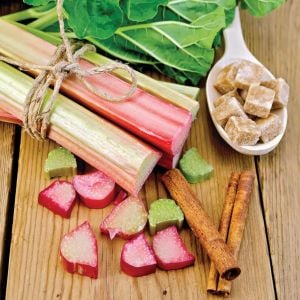 Rhubarb pink victoria pembe ravent tohumu