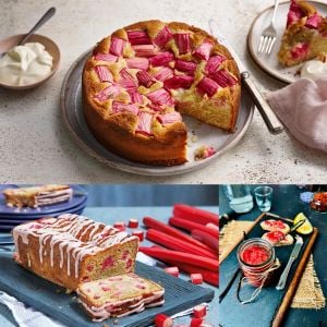Rhubarb pink victoria pembe ravent tohumu