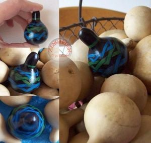 Minyatür şişe su kabağı tohumu mini bottle gourd